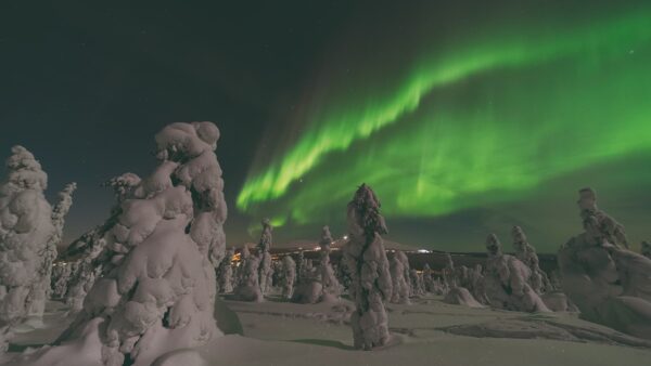 Auroras en los bosques nevados de Laponia